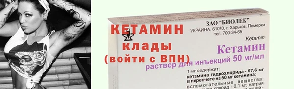 прущие грибы Белокуриха