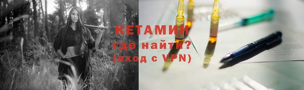 прущие грибы Белокуриха