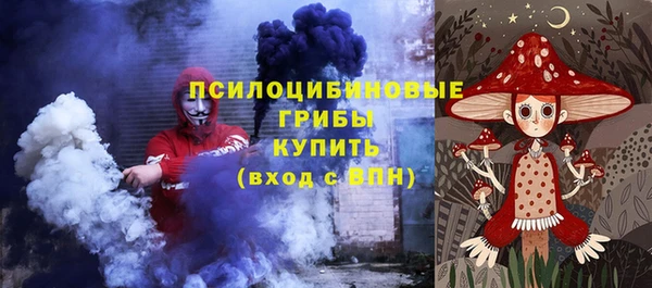прущие грибы Белокуриха