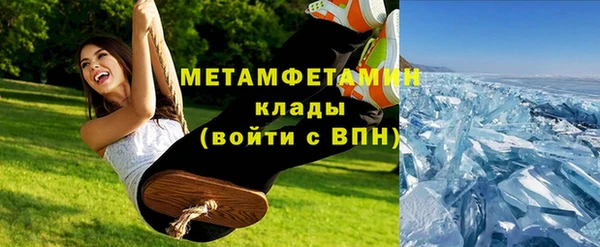 прущие грибы Белокуриха
