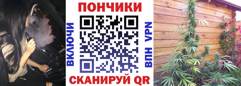 хочу наркоту  Нестеров  Конопля гибрид 